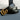 Good Pattern Belt