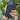 Black Trendy Phone Case ( Full M Love)