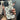 Traditional Phone Case with Camera Protection (White Latticed)