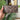 Long Brown/Pink Flower logo Wallet *comes with box*