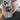 Laser Girl New MagSafe Design Phone Case with Magsafe Holder