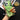 Green Good Phone Case with Magsafe Holder