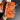 Traditional Juice Magsafe Case with Holder (Orange Love)