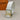 Classic Colored Belt (Gold Buckle)