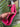 Dark Pink Logo Wallet *comes with box*