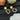 Dog Cute Letter Earrings
